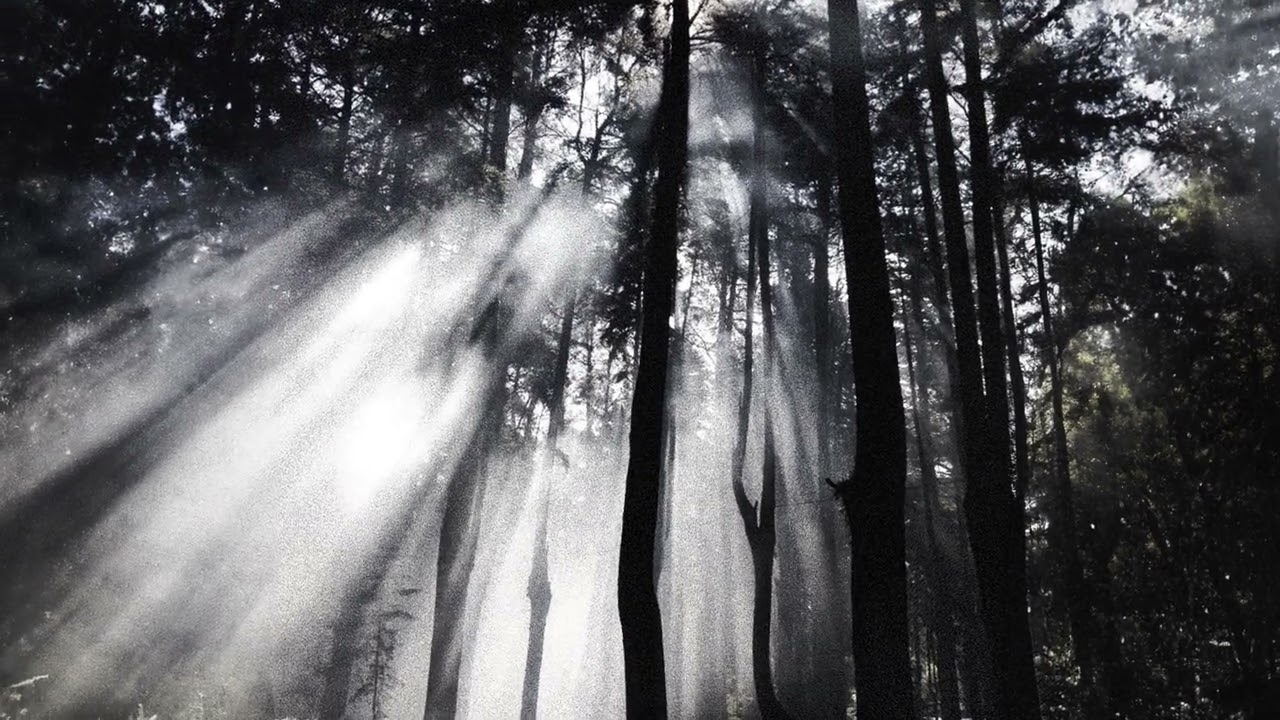 qb - Rain 2 (Official Audio)