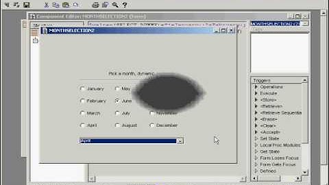 Uniface Lists (Nederlands)