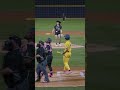 ⁠@coachrac fouls out to a fan! #savannahbananas #baseball #sports #fans #bananaball