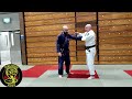 Pinan Yodan Anti Grip Bunkai