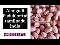 Groundnut/Peanut Kernels Manufacturer and wholesale Exporter Tamilnadu INDIA Mp3 Song