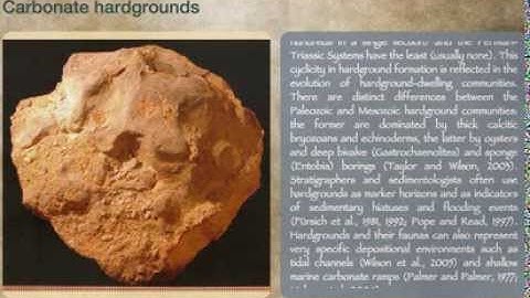 Carbonate hardgrounds