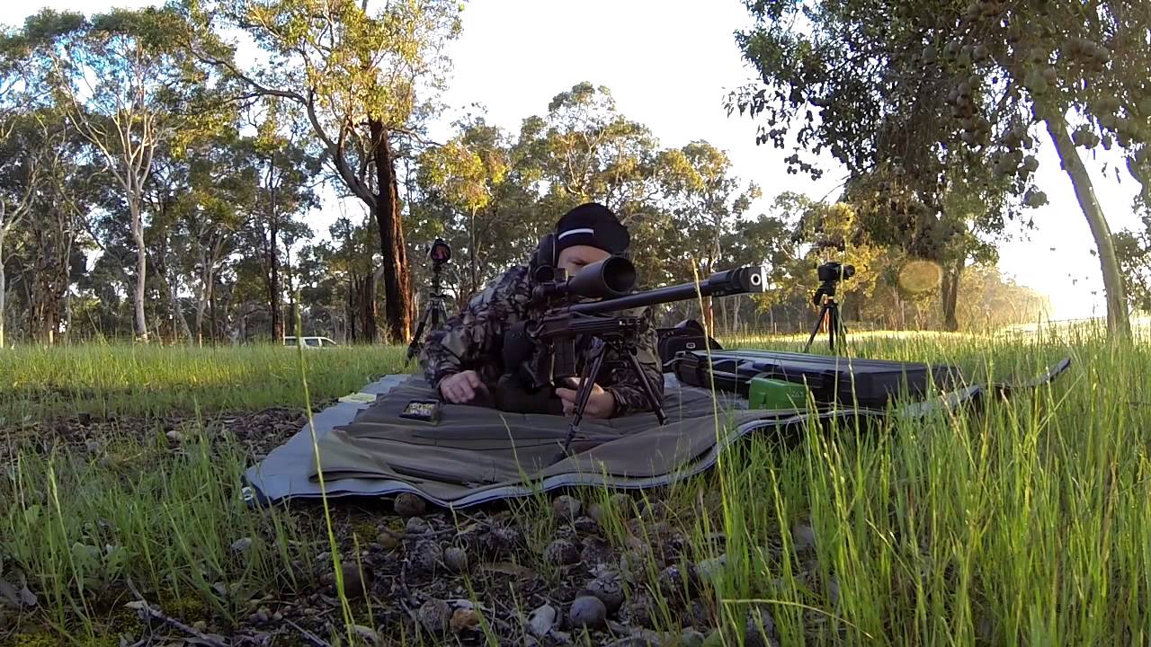 Cold bore shot 1250 yards with .243 YouTube