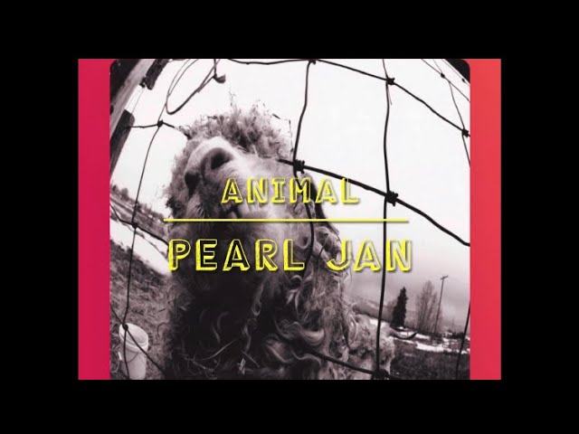 Animal - Pearl Jam (lyrics) - YouTube