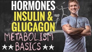 2 Hormones That Affect Metabolism (Insulin & Glucagon)