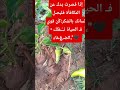 آص ن ع خ ي ر آ ف ي ﻛ ل مـ ﻛ آن ف ل آ ت ع ل مـ مـ ت ﯽ س ي ر د آل ي ﻛ ﮩڐآ آل خ ي ر آص ن ع خ ي ر آ ف ي ﻛ ل مـ ﻛ آن ف ل آ ت ع ل مـ مـ ت ﯽ س ي ر د آل ي ﻛ ﮩڐآ آل خ ي ر