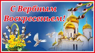 С Вербным Воскресеньем! Мира И Добра!