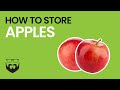 How to Store Apples