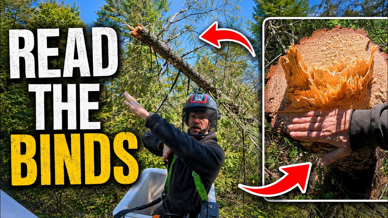 STOP Your Chainsaw Bar From Getting PINCHED 😫
