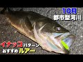 【スニーカースタイル】10月のイナッコパターンおすすめルアー！