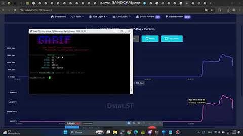 Garif C2 | DDOS TEST C2/BOTNET/API 2025 | L3 & L4 & L7 | BEST BYPASS.