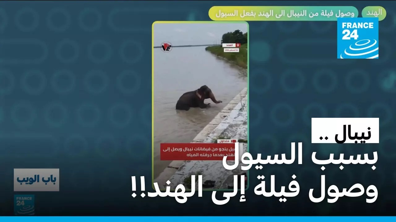 ���� ������ �� �����.. ���� ���� ��� �����! � ����� 24
 - نشر قبل 47 دقيقة