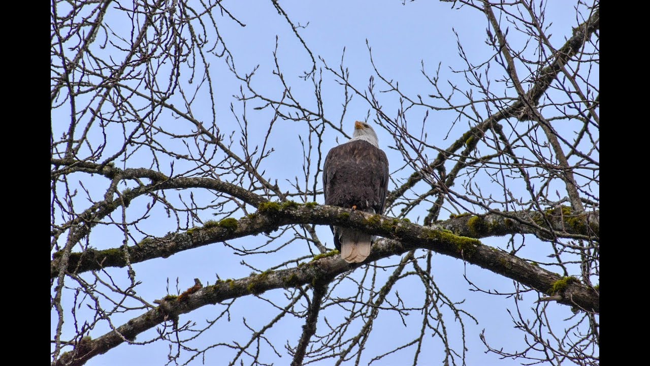 Practical Use of the Armor of God