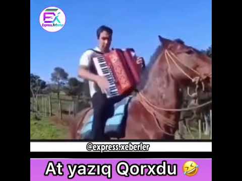 Gülmeli videolar