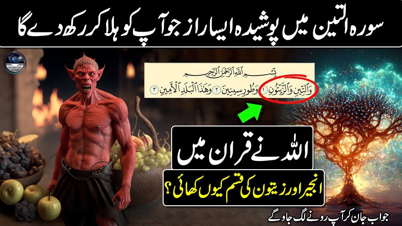 The Great Importance Of Surah At Tin The Fig Surah At Tin Miracles the-great-importance-of-surah-at-tin-the-fig-surah-at-tin-miracles