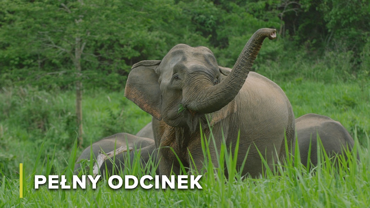 Od Złotego Trójkąta do świąt duchów: Życie nad Mekongiem | Tajemnice Rzeki Mekong 103