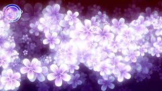 Vibrant Emotions - Killigrew (MkSound)