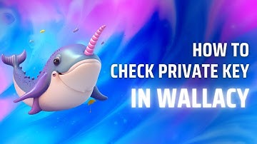 How to Check Private Keys and Mnemonic Phrases in Wallacy｜Beginner’s Guide