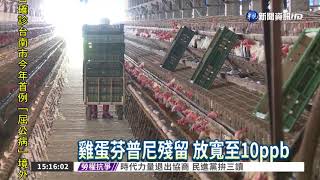 雞蛋芬普尼殘留 放寬至10ppb
