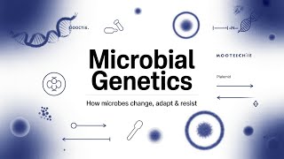 Microbial Genetics Explained | Genes, Variation &amp; Applications | Mootechie