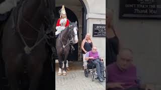 Unforgettable Photo: Royal Horse Steals the Scene!
