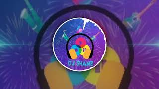 Fevicol Se Tapori Remix Dabhang2 Bollywood Song Remix dj shane
