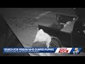 Officials searching for person who dumped puppies outside Clark County SPCA