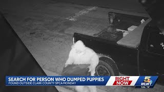 Officials searching for person who dumped puppies outside Clark County SPCA