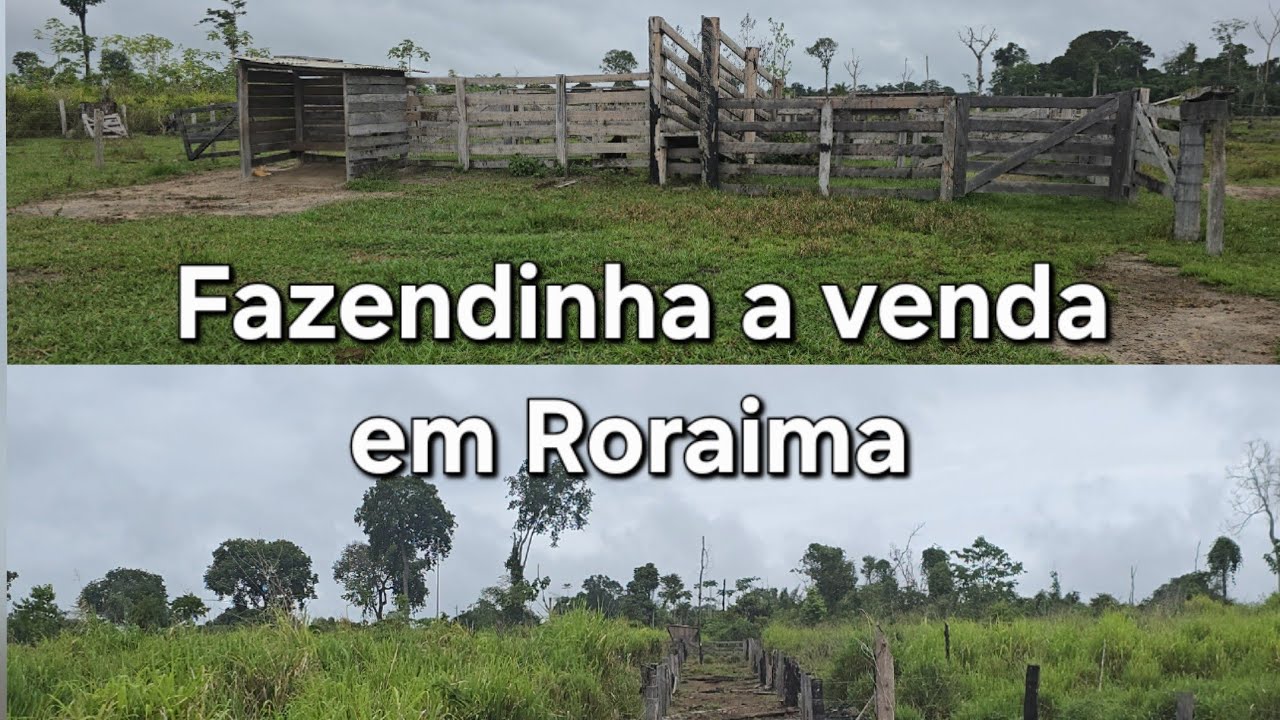 Sitio a venda na minha vicinal, com 33 hectare de capim
