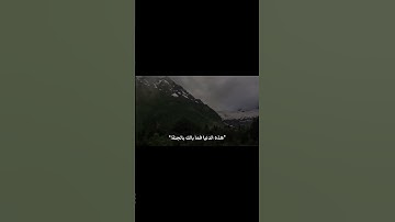 أجر لي ولكم☘️| #القرآن_الكريم #راحة_نفسية #قرآن #ياسر_الدوسري #تلاوة_خاشعة