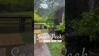🧑‍🌾 Check out this beautiful hobby farm 🐓 Like & Sub 🌾 #hobbyfarm #fireplace #grow #farming
