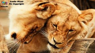 No Copyright Music, Free Music - tears that collapse like aurora raindrops of sunlight