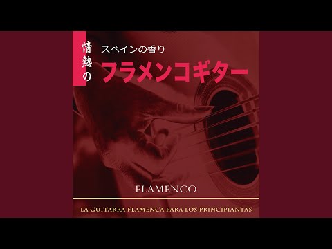 FANDANGOS DE HUELVA(B) (FLAMENCO GUITAR ) - -