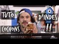 TUTO COCHONS D'INDE !! - TOOPET