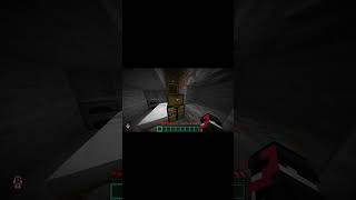 BEATING MINECRAFT AT 20X speed part 2 #minecraft #minecraftsurvivalseriesepisode2 #minecraftshorts
