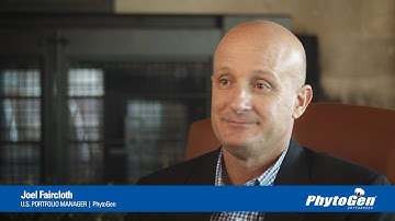 Cotton Yield: Bringing new varieties to the field