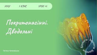 Покритонасінні. Дводольні