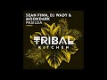 Sean finn dj wady  moondark  pasilda original mix