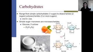 General Biology Ch 3 Macromolecules