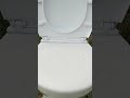 OSHEE, WATER, SPRITE vs MENTOS in TOILET | #Shorts