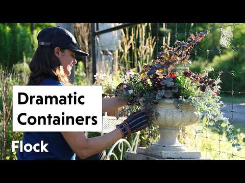 Planting A High Drama Urn For Our Cottage Garden — Ep. 376
