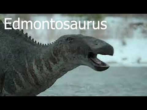 Edmontosaurus Sound Effects Prehistoric Planet