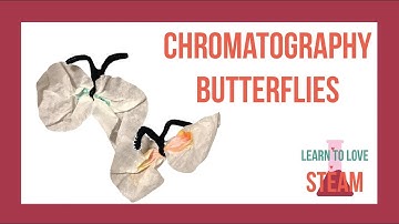 Chromatography Butterflies - Learn to love STEAM - Art