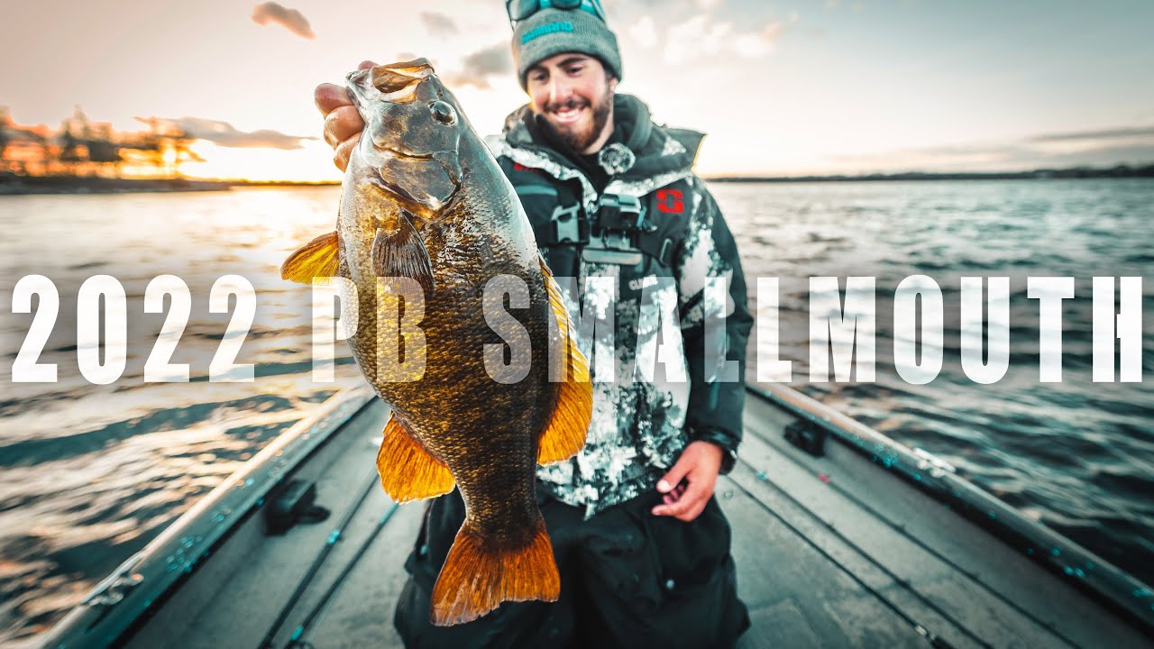 ALABAMA RIG GIANT!!! (FALL SMALLMOUTH FISHING) YouTube