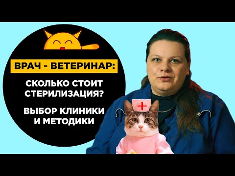 Вопрос: Стоит ли переходить на специальный корм после стерилизации кошечки?