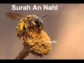 سورة النحل كامله بصوت القارئ الشيخ عبدالولي الأركاني سورة النحل كامله بصوت القارئ الشيخ عبدالولي الأركاني