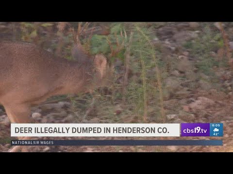 Bustednewspaper Henderson County Tx