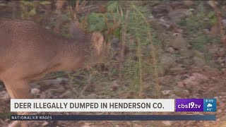 Texas game wardens looking for person accused of illegally dumping white-tail deer in Henderson Coun