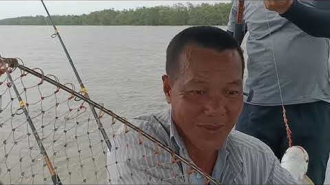 Câu cá Bông Lau, món ngon đặc sản của sông nước Cần Giờ | Sông Nước Cần Giờ - Châu Huỳnh.