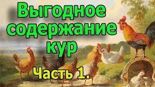 Выгодное содержание кур несушек. Практические советы.  Часть 1 (укр.)